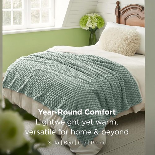 Bedsure Queen Size Blanket - 350GSM Fluffy Plush Fleece for Cozy Home Decor | Sage Green, 90x90 Inches
