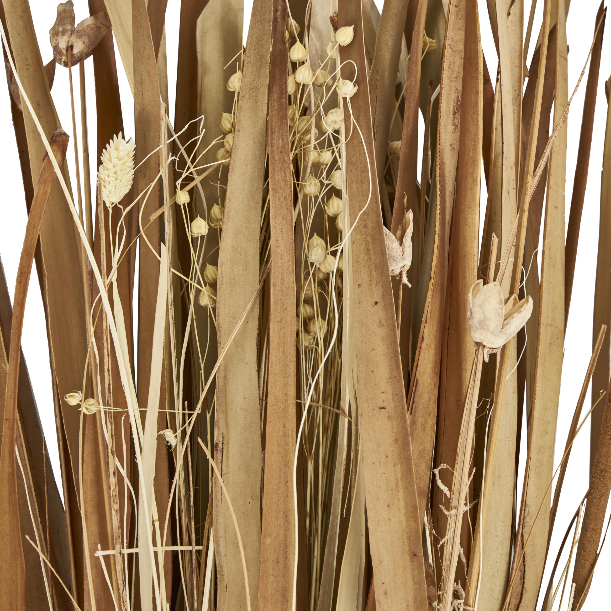 Deco 79 Dried Plant Natural Foliage, 9" x 6" x 41", Brown