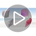 CaLoogn Electroplating Sea Shell Beach Towel Clips for Pool Lounge Chairs