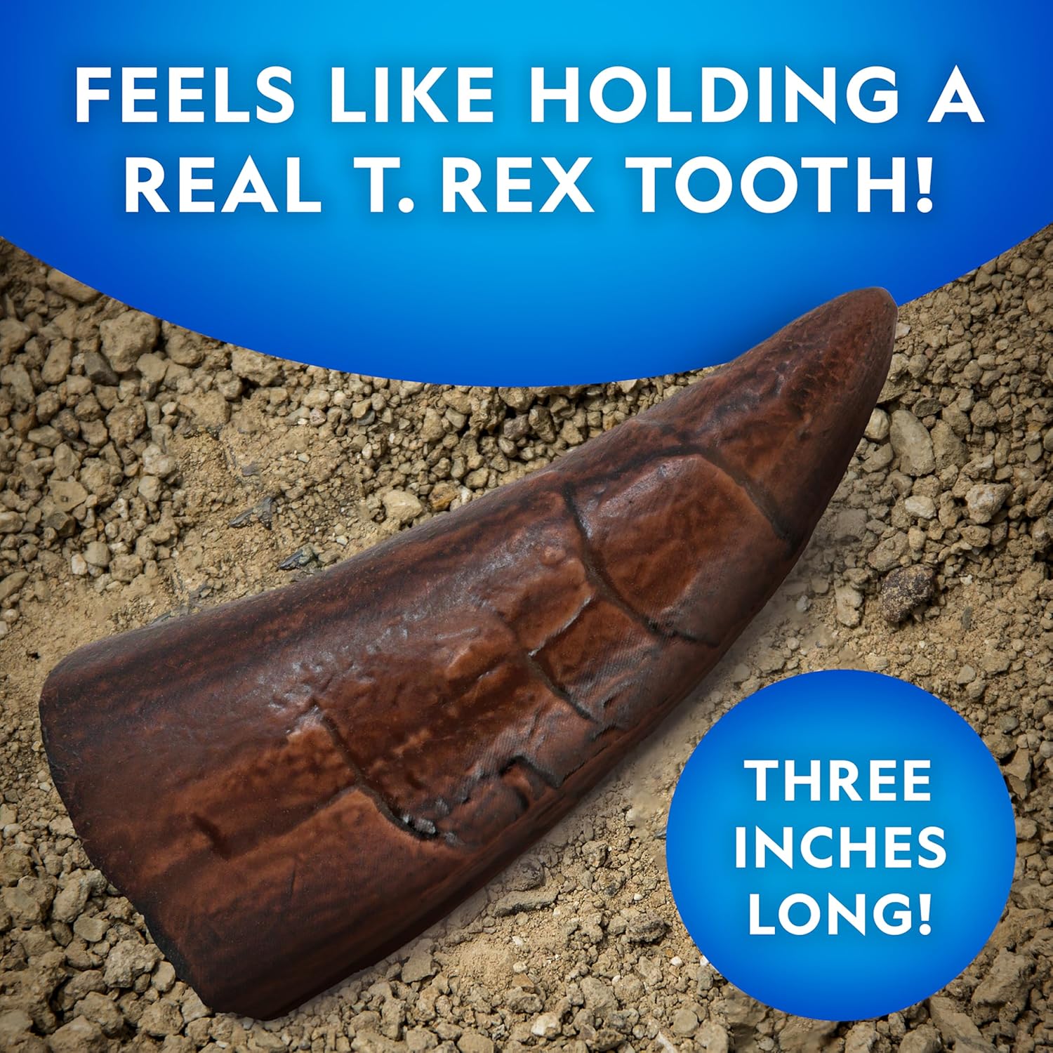 National Geographic Dino Fossil Dig Kit - Excavate Dinosaur Tooth Fossil & Explore Paleontology with Activity Book for Kids