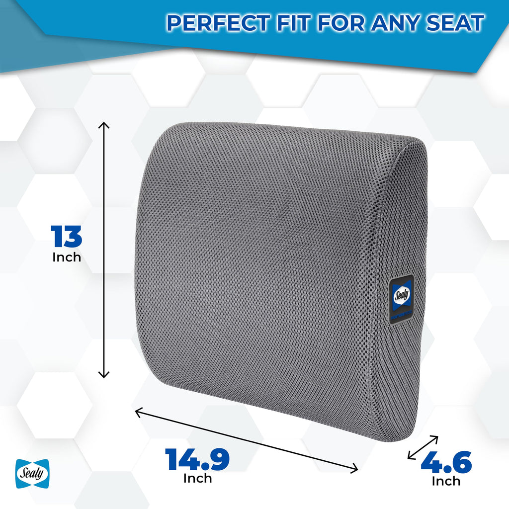Sealy Ergonomic Lumbar Support Pillow for Office Chair and Car Seat - Memory Foam Back Support Lumbar Pillow, Premium Cushion Chair Support for Lower Back Pain Relief and Versatile Use (Gray)