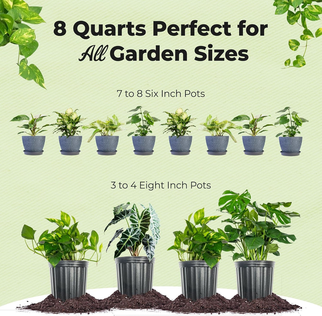 Perfect Plants Organic Aroid Potting Mix - Chunky, Peat-Free Medium for Tropical House Plants | 8qt