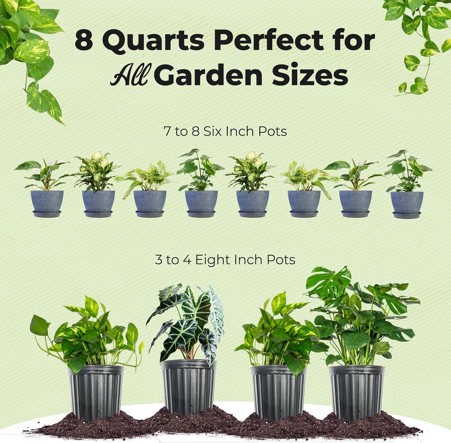 Perfect Plants Organic Aroid Potting Mix - Chunky, Peat-Free Medium for Tropical House Plants | 8qt