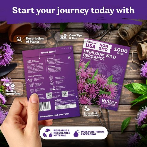 KVITER Wild Bergamot Seeds - 2,000 Organic Bee Balm Seeds for Pollinator Gardens | Non-GMO, 2 Pack