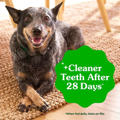 Greenies - Veterinarian-Recommended Natural Dental Dog Treats | Teenie Size, Original Flavor, 36 oz Pack