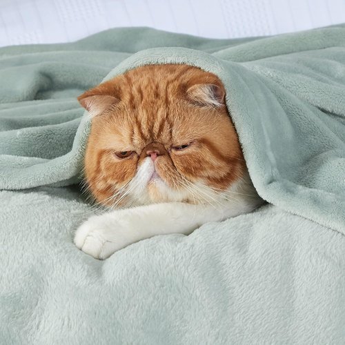 Bedsure GentleSoft Fleece Bed Blanket - Soft, Lightweight, Plush Luxury in Sage Green | Full Size 84x90 Inches