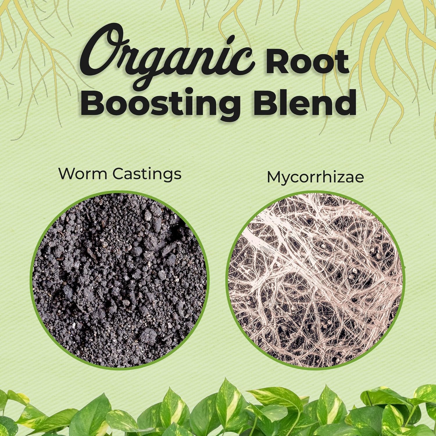 Perfect Plants Organic Aroid Potting Mix - Chunky, Peat-Free Medium for Tropical House Plants | 8qt
