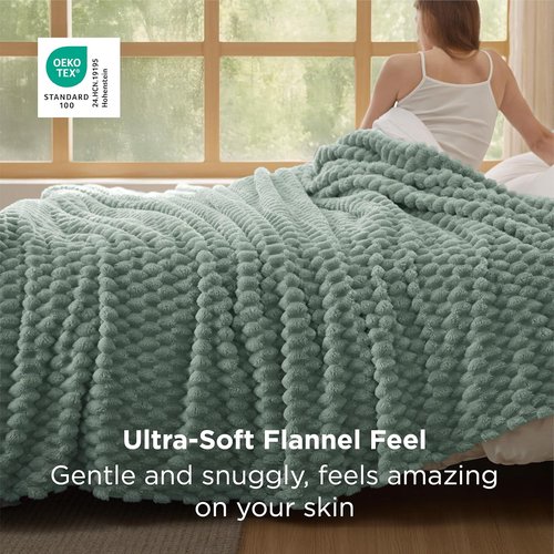 Bedsure Queen Size Blanket - 350GSM Fluffy Plush Fleece for Cozy Home Decor | Sage Green, 90x90 Inches