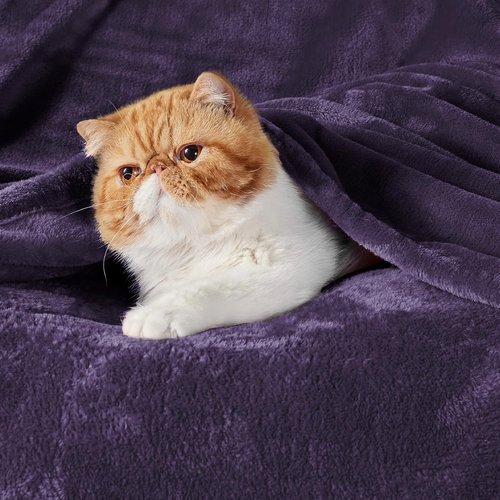 Bedsure Fleece Blanket - Soft, Lightweight Plush Twin XL Blanket in Purple | Cozy for Bed, Sofa, Travel (66" x 90")