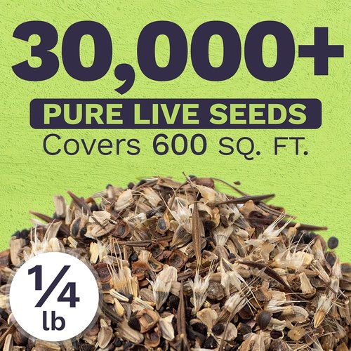 Cut Flower Garden Seeds - Non-GMO Wildflower Seeds Bulk 1/4 Pound Bag | Over 30,000 Colorful Annuals & Perennials