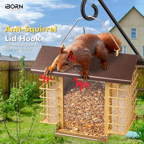 iBorn Bird Feeders - Weatherproof Suet Feeder with Double Holders | 3.2 LB Capacity, Coffee Roof & Yellow Grid