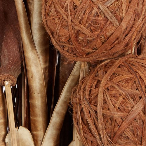 Deco 79 Dried Plant Foliage Home Decor Natural Foliage Natural Dried Foliage, set of 2 Foliage for Decoration 15" x 15" x 46", Brown