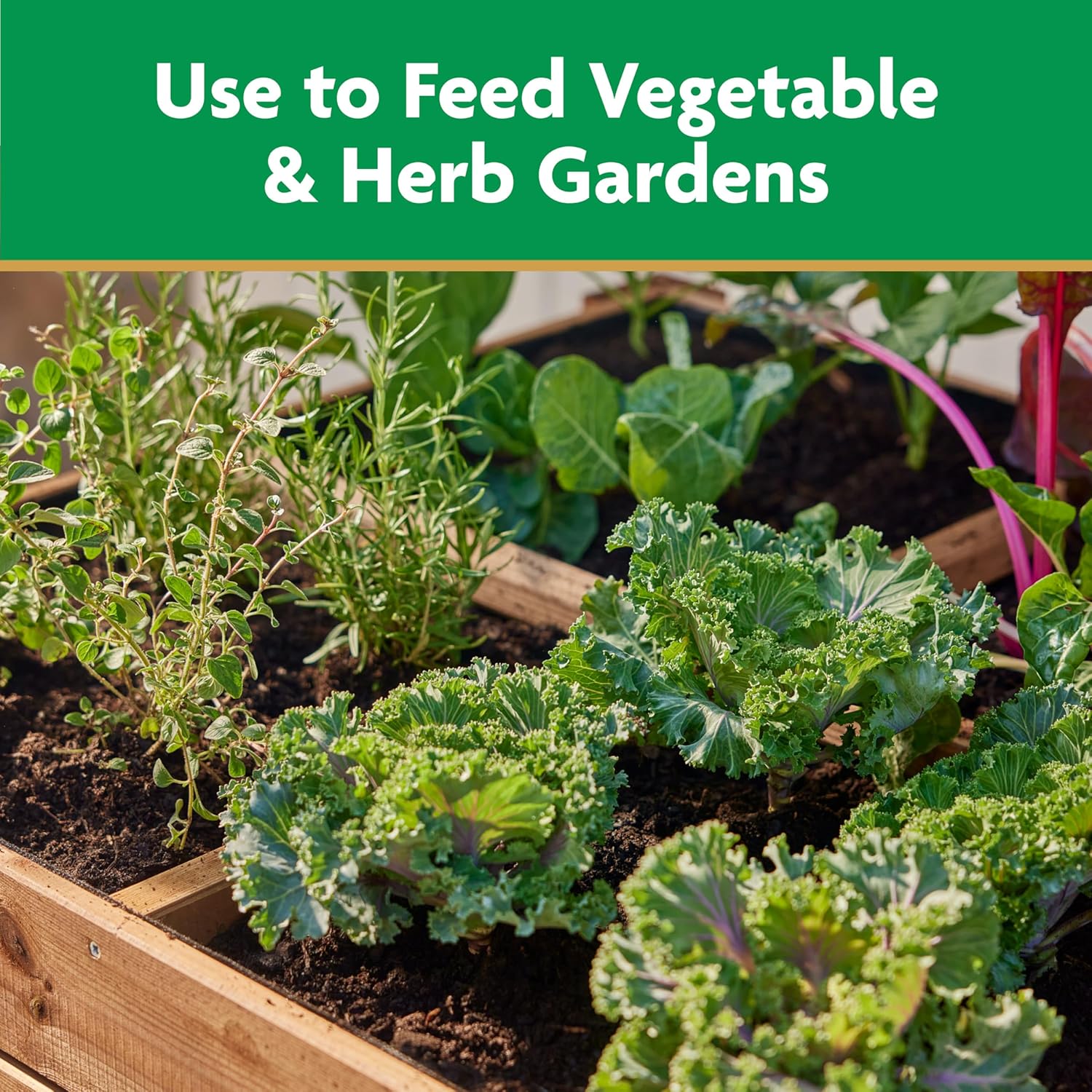 Miracle-Gro Water-Soluble Plant Food - Boost Vegetable & Herb Growth - 2 lbs Fertilizer for Tomatoes, Squash, Peppers, Cucumbers