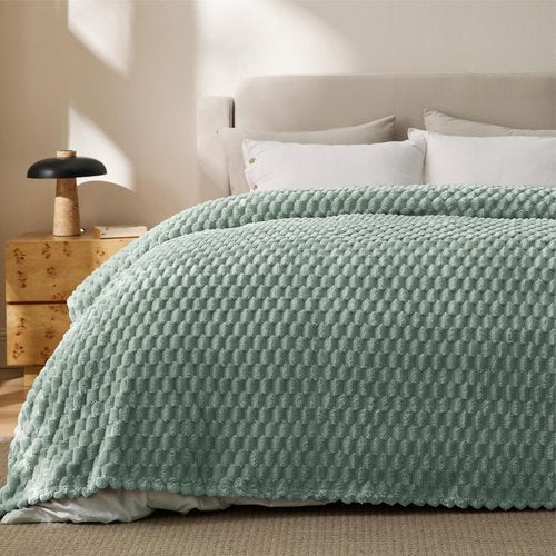 Bedsure Queen Size Blanket - 350GSM Fluffy Plush Fleece for Cozy Home Decor | Sage Green, 90x90 Inches