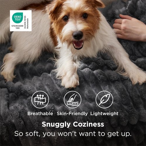 Bedsure GentleSoft Twin Blanket - Super Soft Cozy Grey Blanket for Women | 66x90 Inches