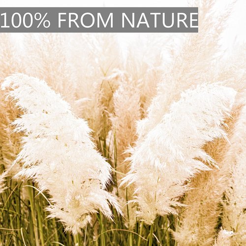 20pcs 40'' Pampas Grass Tall Decor - Pompas Floral, Tall Pampas Grass for Floor Vases, Living Room Floor, Floor Plants, Plumas para, and Grass Wall Decor