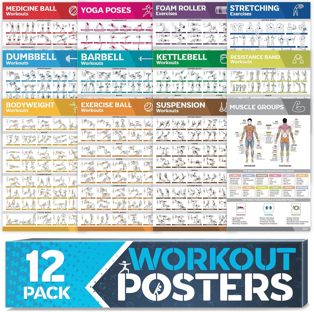 12-Pack Laminated Workout Posters by [Brand Name] - Essential Exercise Charts for Home Gym | Dumbbell, Yoga, Kettlebell & More