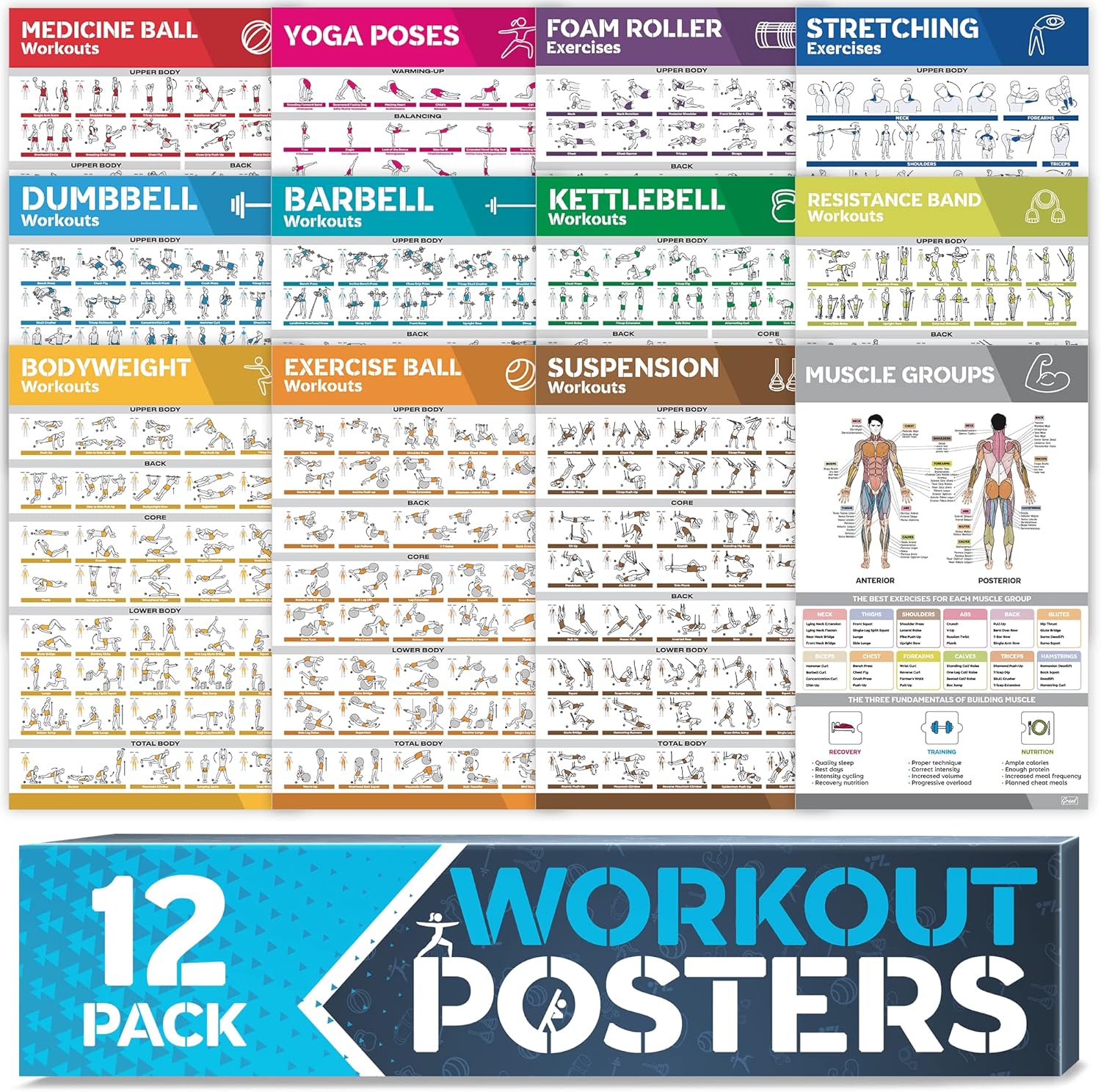 12-Pack Laminated Workout Posters by [Brand Name] - Essential Exercise Charts for Home Gym | Dumbbell, Yoga, Kettlebell & More