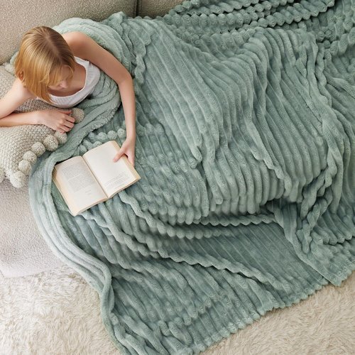 Bedsure GentleSoft Full Size Blanket - Cozy Sage Green Throw for Women | 84x90 Inches