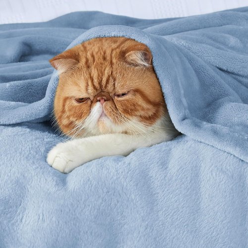 Bedsure GentleSoft Fleece Blanket - Lightweight Plush Cozy Twin Size in Light Blue, 60x80 Inches