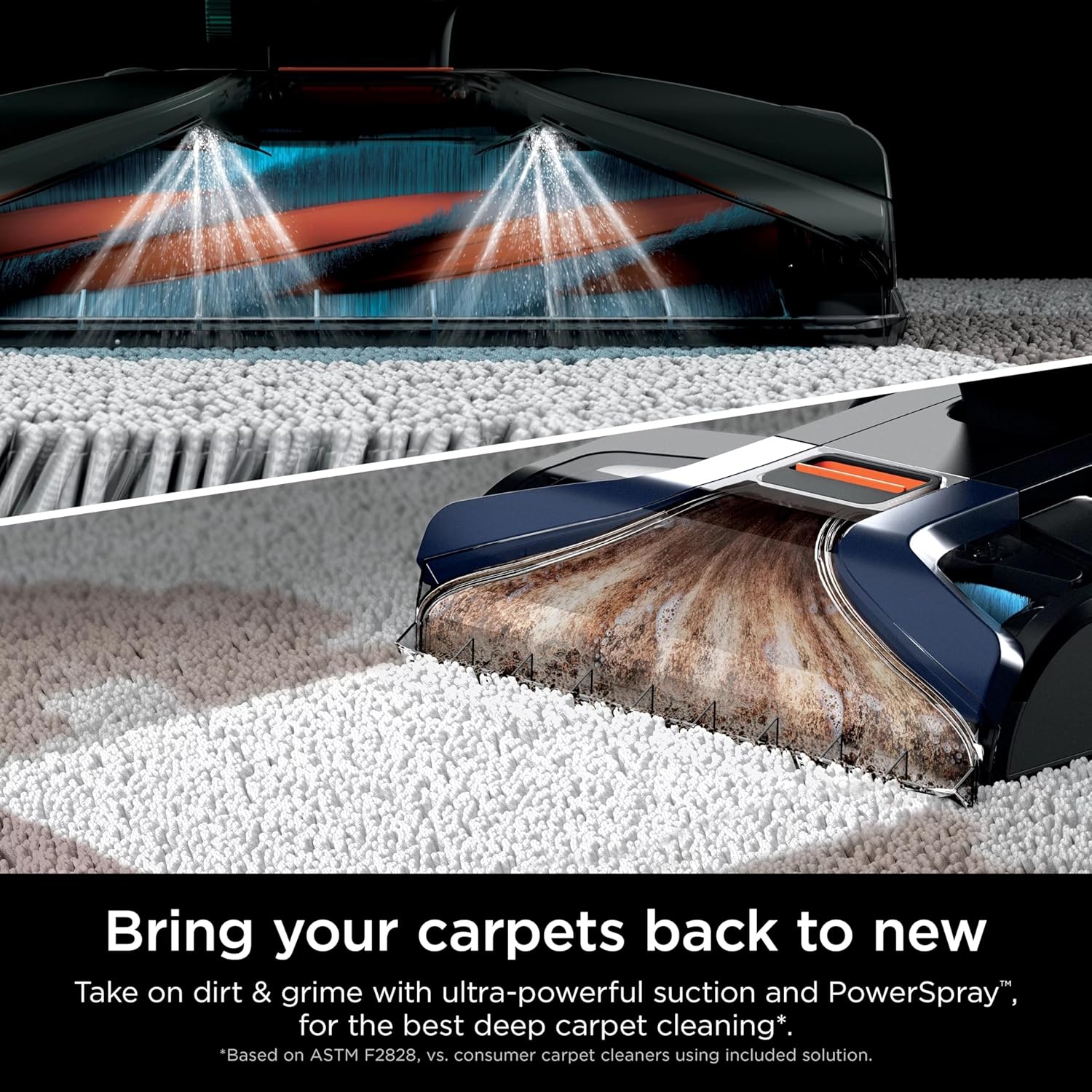 Shark CarpetXpert Upright Carpet Cleaner - Stain Striker for Rugs & Upholstery | Navy Color