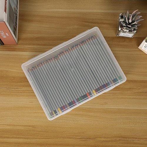 BTSKY Clear Plastic Storage Box - Multipurpose Craft Organizer with Flap Lid | 2 Pack Medium