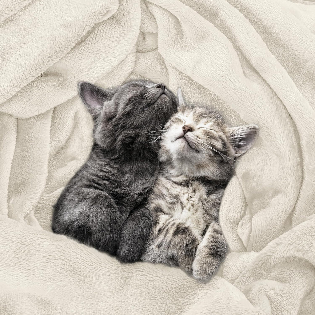 Utopia Bedding Fleece Blanket - Ultra Soft & Warm Queen Size (90x90 Inches) | Cozy Microfiber for All-Season Comfort
