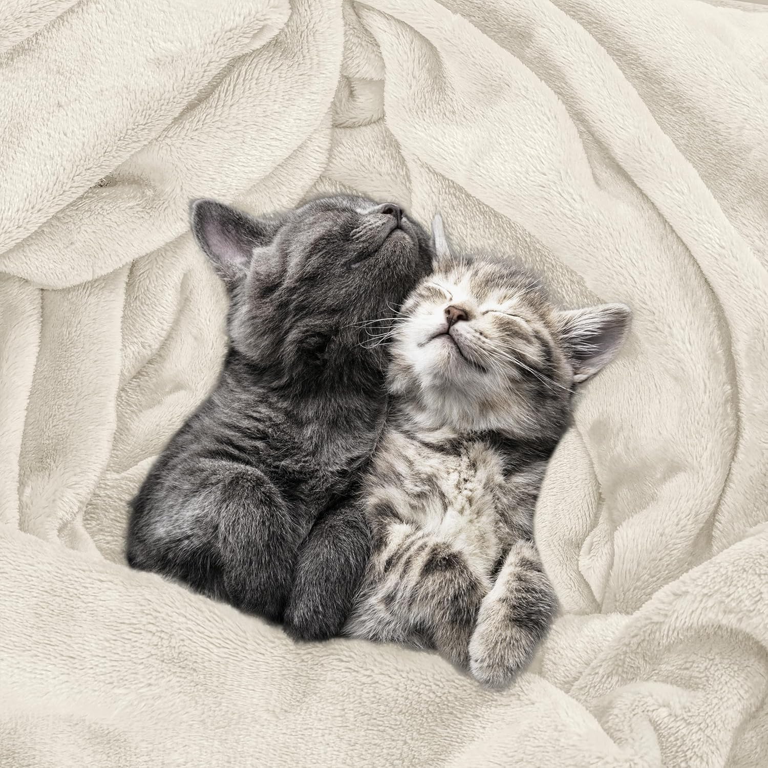 Utopia Bedding Fleece Blanket - Ultra Soft & Warm Queen Size (90x90 Inches) | Cozy Microfiber for All-Season Comfort