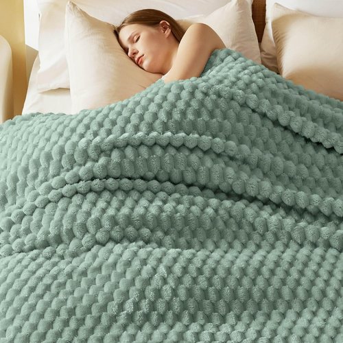 Bedsure Queen Size Blanket - 350GSM Fluffy Plush Fleece for Cozy Home Decor | Sage Green, 90x90 Inches