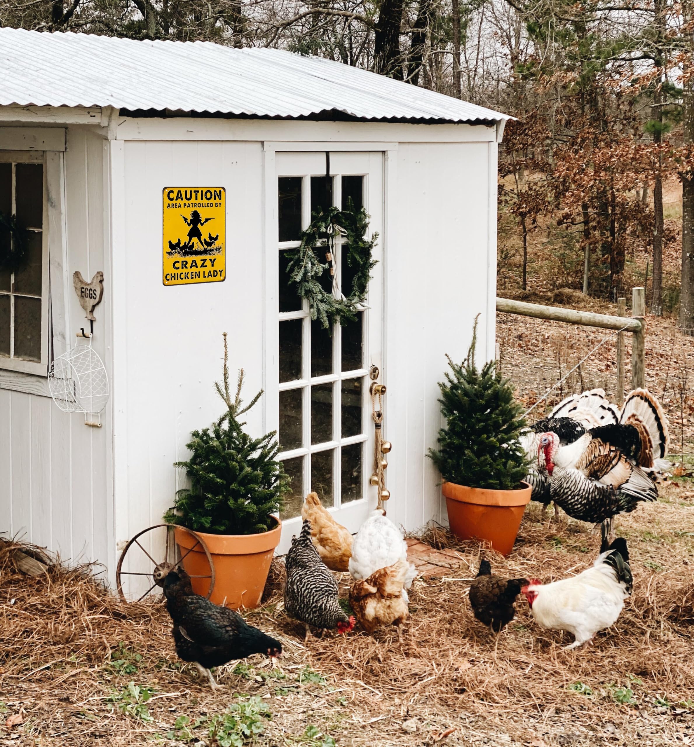 Smilelife Funny Chicken Gifts Caution Area Patrolled By A Crazy Chicken Lady Tin Sign for Home Farm Chicken Coop Farmhouse Kicthen Garden Decor 8 X 12 Inch (3620)