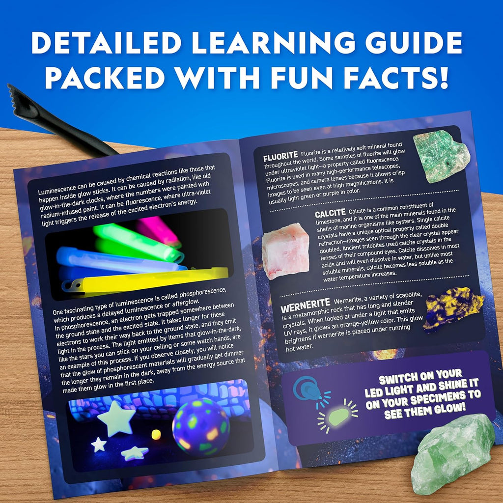 National Geographic Glow In The Dark Dig Kit - Excavate 6 Glowing Rocks & Dinosaurs | STEM Science Kit for Kids