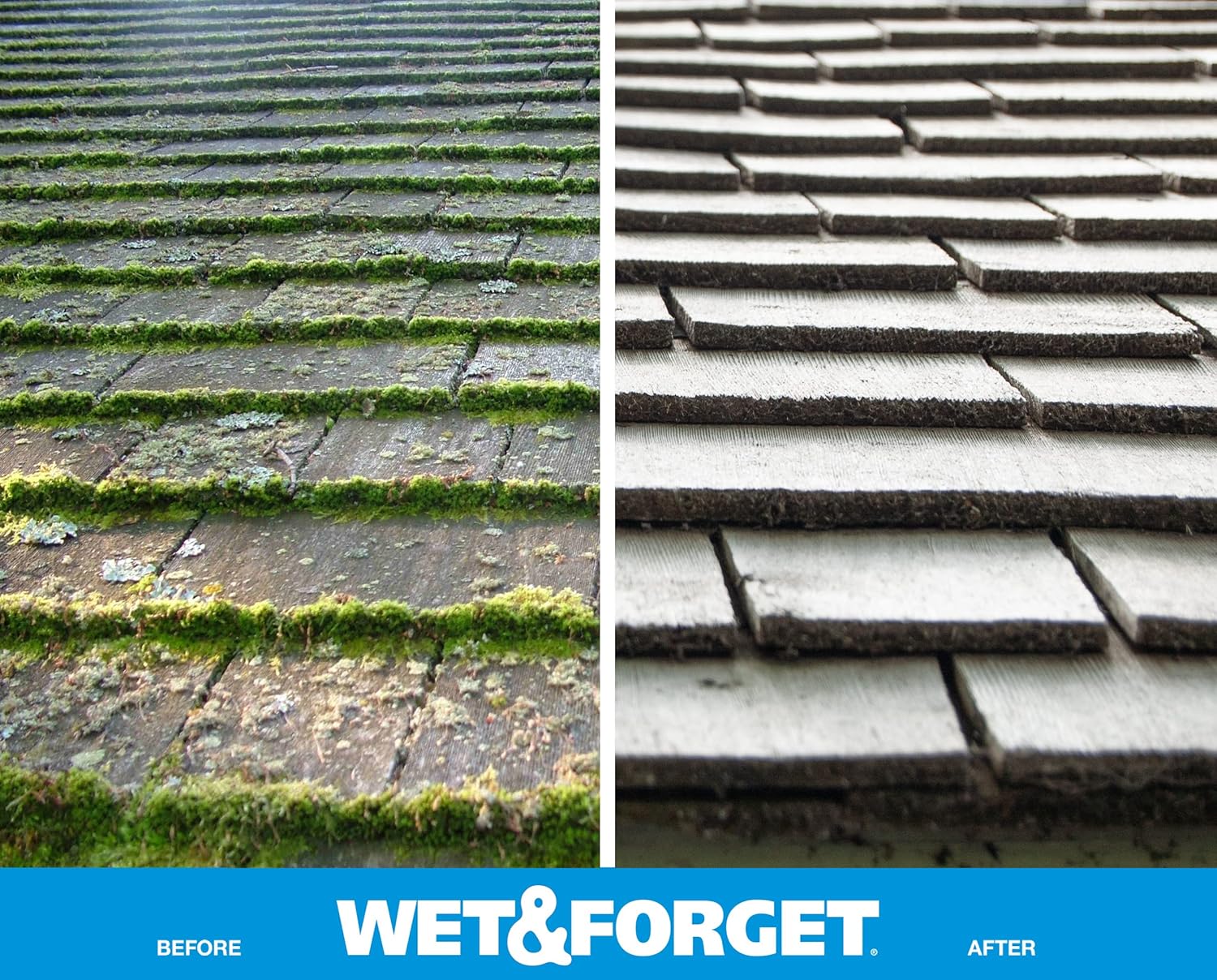 Wet & Forget Moss & Mold Remover - Multi-Surface Outdoor Cleaner Concentrate, 128 Fl Oz