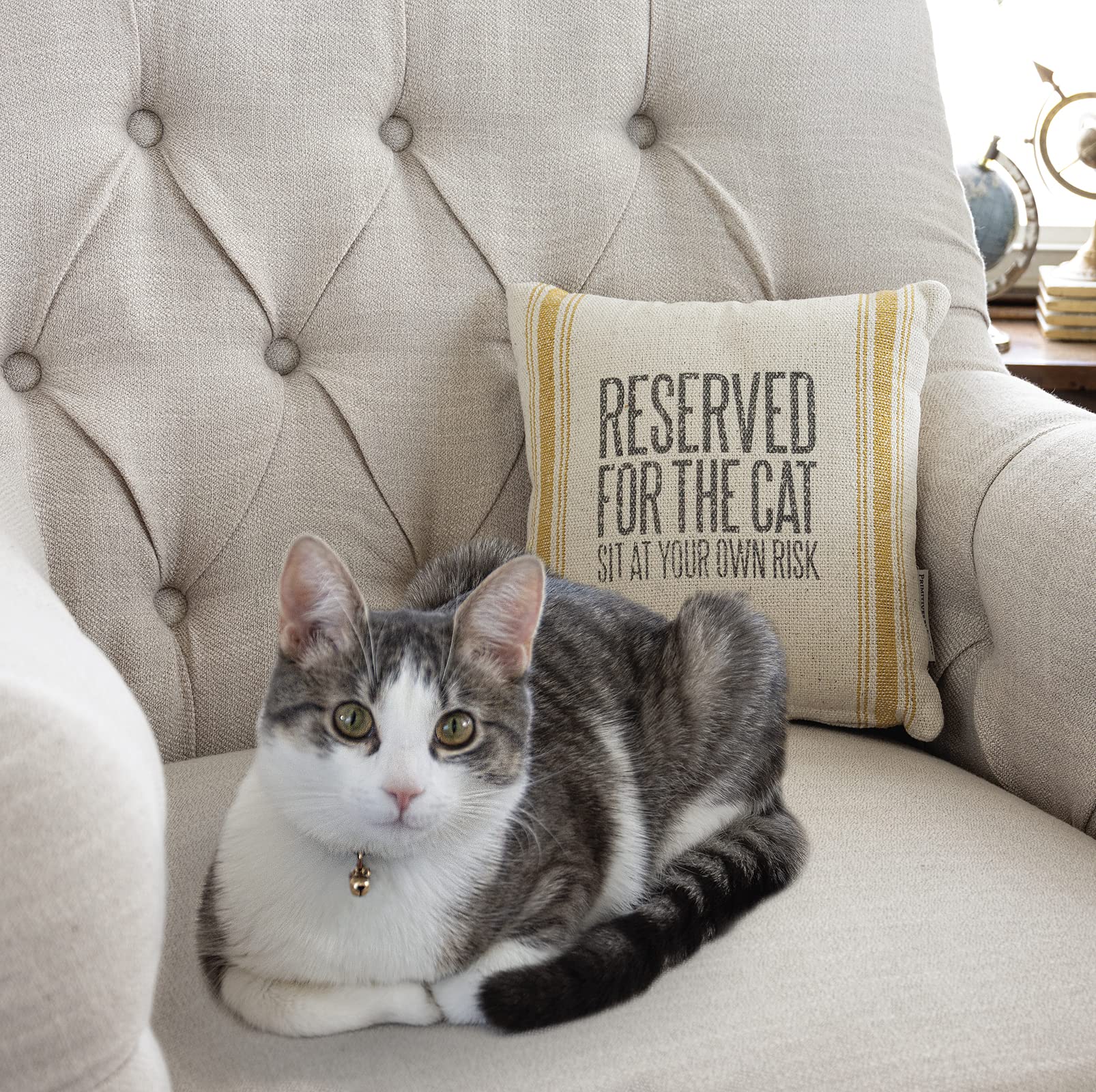 Primitives by Kathy Woven Rustic Gold Striped Pillow, Distressed Style, Reserved for The Cat Sit At Your Own Risk 10x10 Throw Pillow, Removable Zipper Cover/cat Lover Gift, pet Themed Home Accent