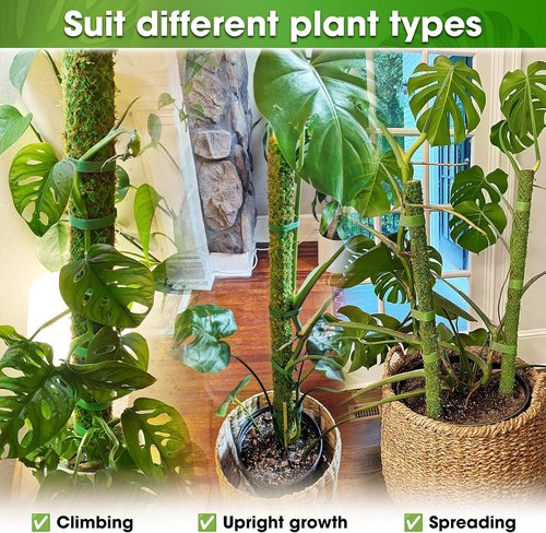 DUSPRO 42” Natural Moss Pole - Premium Support for Climbing Plants | Ideal for Monstera & Indoor Use