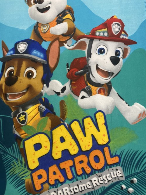 Paw Patrol Throw Blanket (Green, One Size)