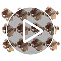 Mobestech 12Pcs Metal Fan Cover Fixing Screws for Industrial Fans