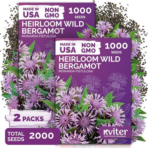 KVITER Wild Bergamot Seeds - 2,000 Organic Bee Balm Seeds for Pollinator Gardens | Non-GMO, 2 Pack