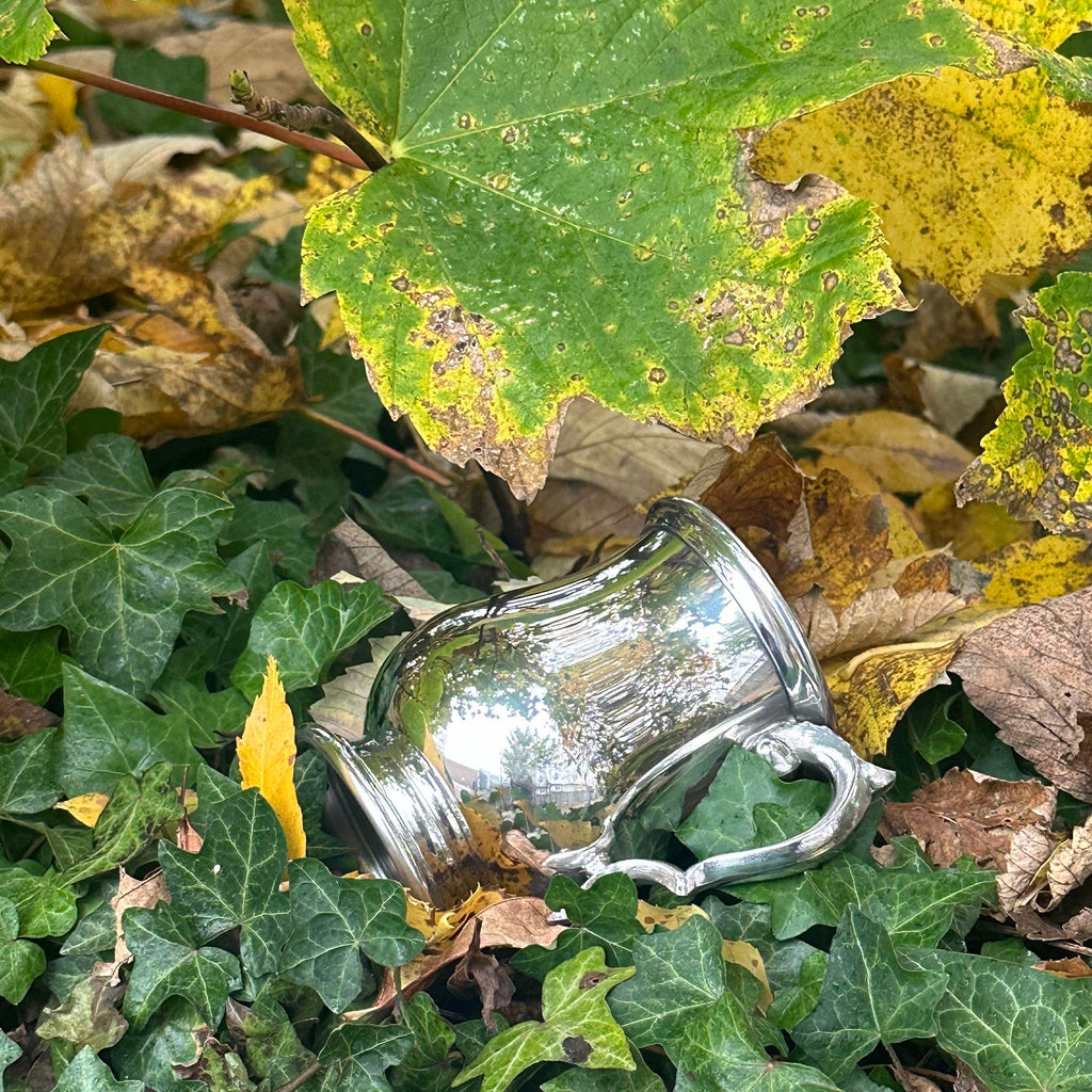 Wentworth Pewter - Half Pint Georgian Pewter Tankard, Beer Mug (Half pint Georgian)