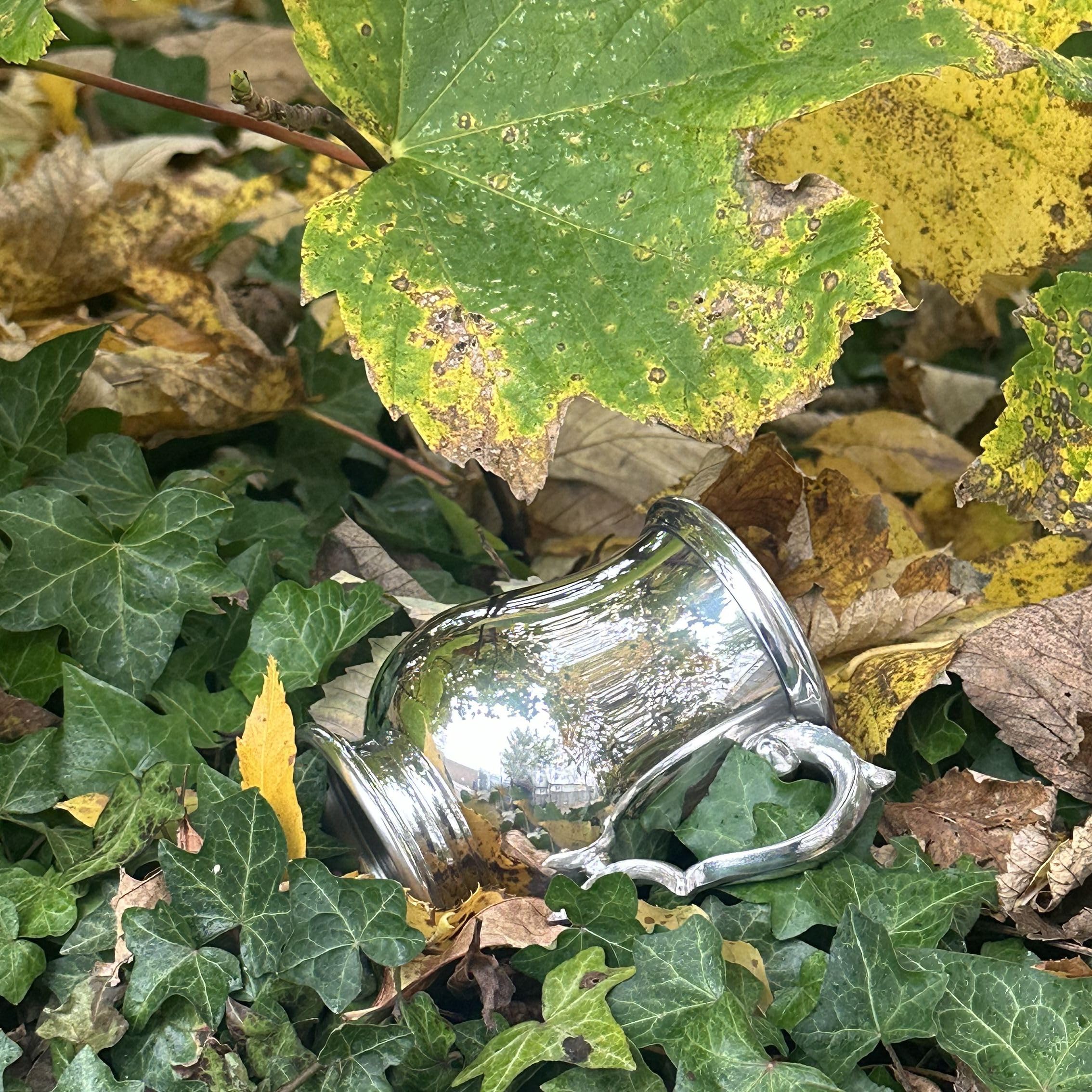 Wentworth Pewter - Half Pint Georgian Pewter Tankard, Beer Mug (Half pint Georgian)