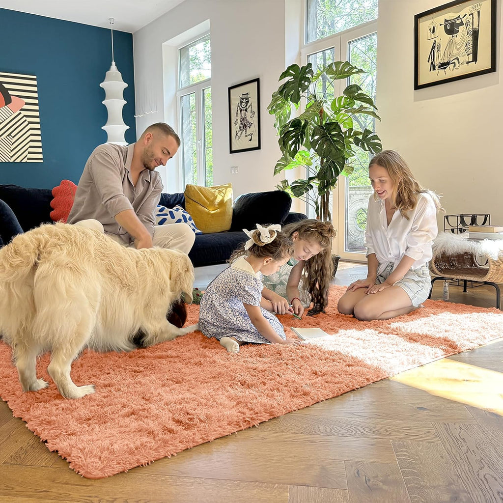 OLANLY 3x5 Soft Fluffy Shaggy Rug - Machine Washable Indoor Carpet for Kids & Nursery | Muted Orange