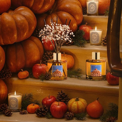 COCORRÍNA Reed Diffuser - Morton Pumpkin Harvest Set with 8 Sticks & Preserved Baby's Breath | Home Decor