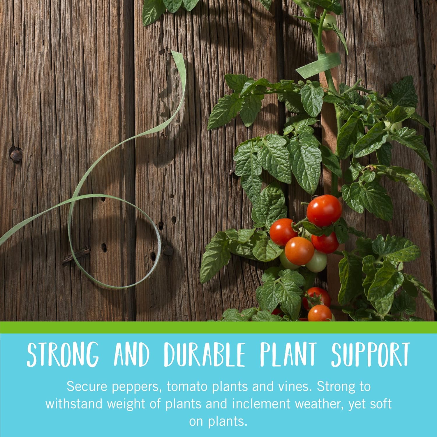 VELCRO Brand Garden Ties - Reusable Plant Supports for Effective Growing | 50 ft x 1/2 in, Green-Recycled Plastic