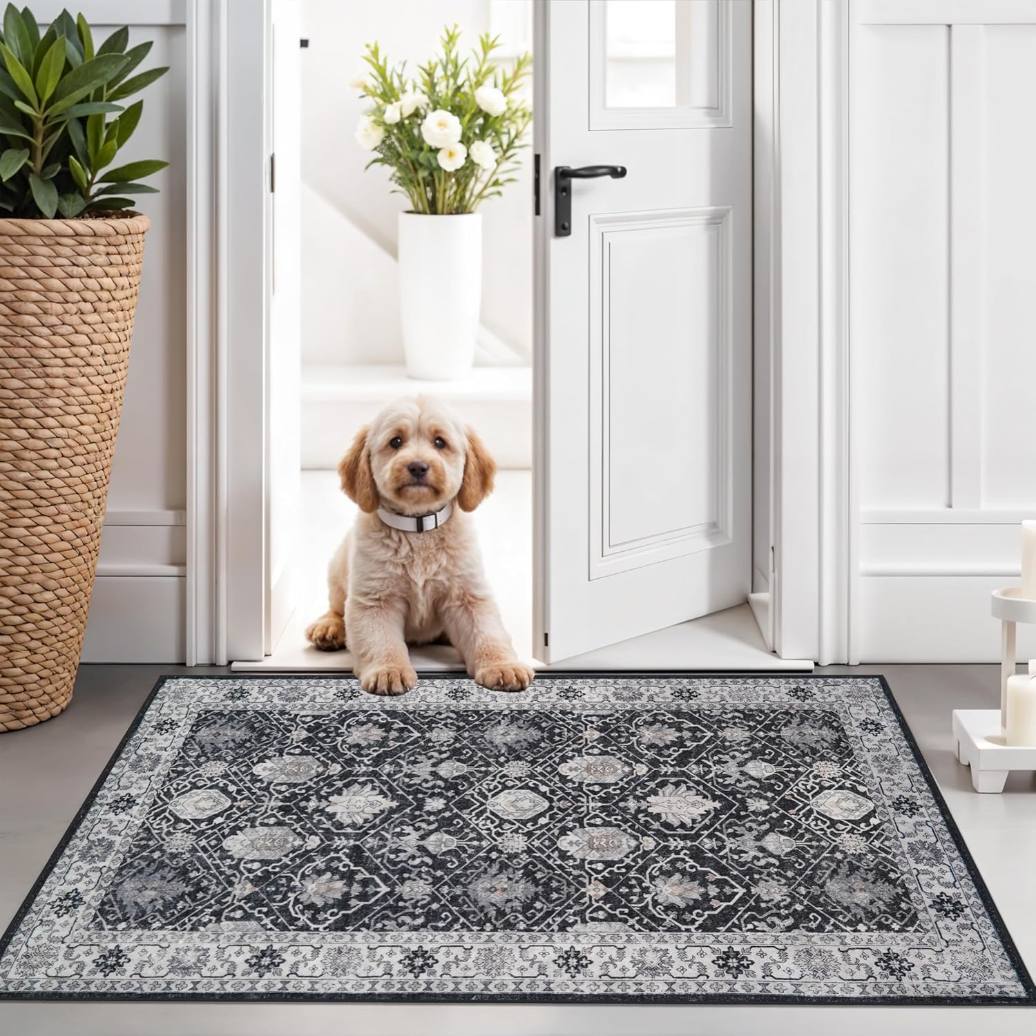 Skiennix Vintage Washable Area Rug - Soft Non-Slip Door Mat | Water-Resistant Low Pile (2x3, Black)