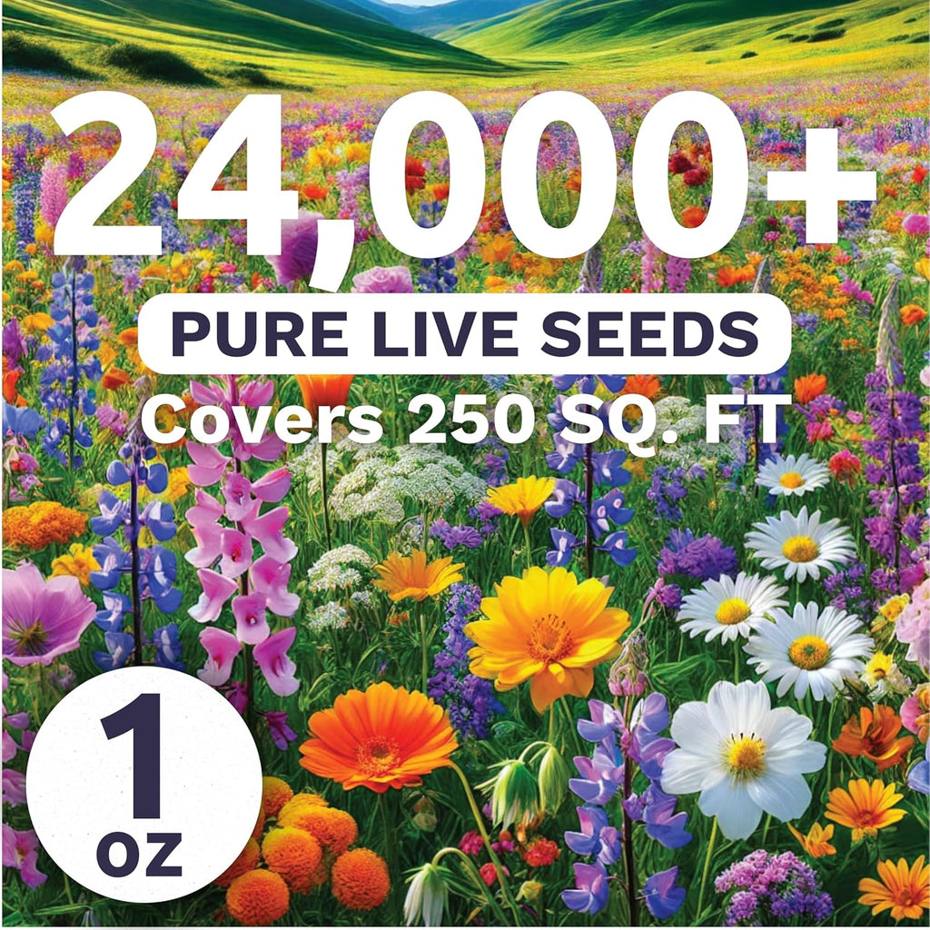 Pacific Northwest Regional Mix | Large 1 Ounce Packet of 24,000 Wildflower Seeds for Planting