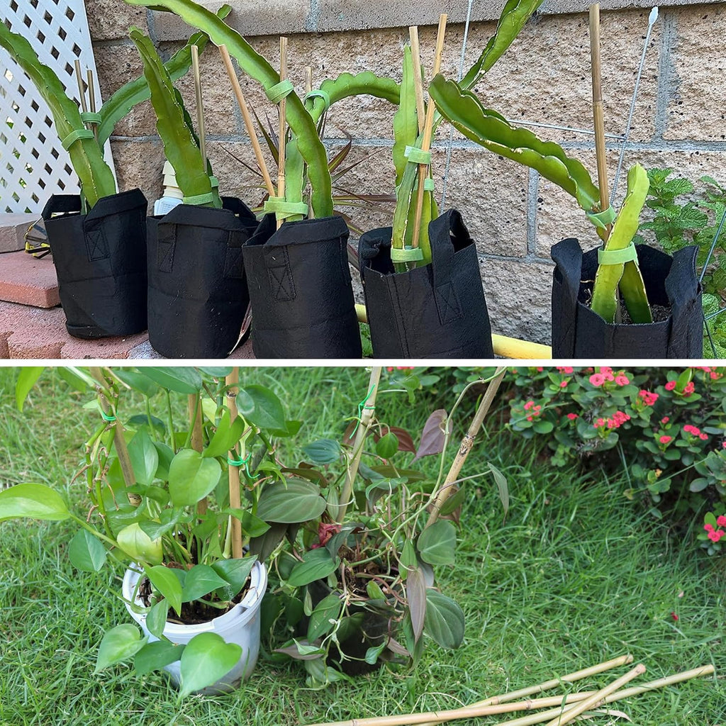Bamboo Plant Stakes - 50 Pcs 2ft Garden Support Sticks for Indoor/Outdoor Plants | Ideal for Tomatoes, Vegetables, and Climbing Plants