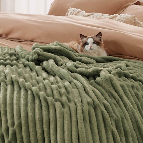 Bedsure GentleSoft Queen Blanket - Cozy Moss Fleece Throw for Couch, Perfect for Women & Girls, 90x90 Inches