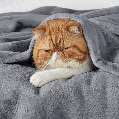 Bedsure Fleece Blanket - Soft, Lightweight Plush Queen Size Luxury Microfiber | 90x90 Inches