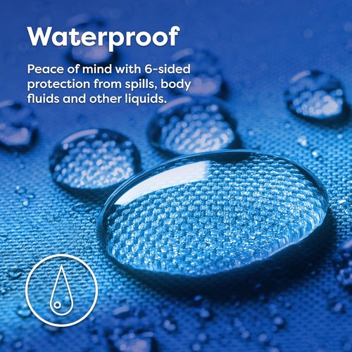 HOSPITOLOGY PRODUCTS Pillow Encasement - Hypoallergenic Bed Bug & Dust Mite Proof - Standard Size, Set of 2 - 20" H x 26" W