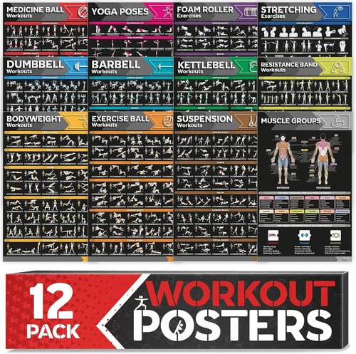 Laminated Large Workout Poster Set by [Brand Name] - Essential Exercise Charts for Home Gym | 12-Pack Fitness Posters