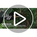 VIVOSUN 6.5 Inch Orange Pruning Shears - 6-Pack Micro Tip Scissors